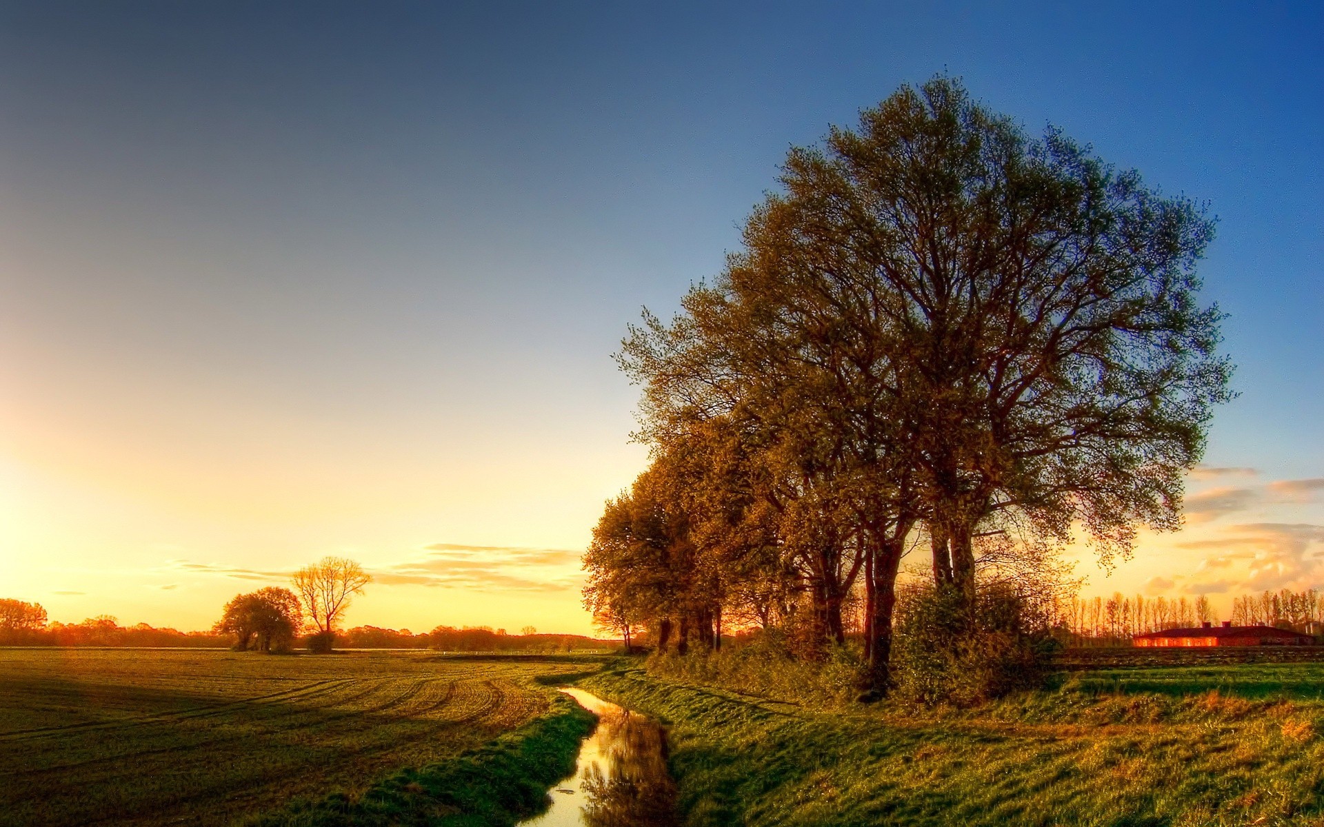 landscapes landscape dawn tree sky sunset nature grass sun outdoors fall countryside rural field fair weather evening agriculture