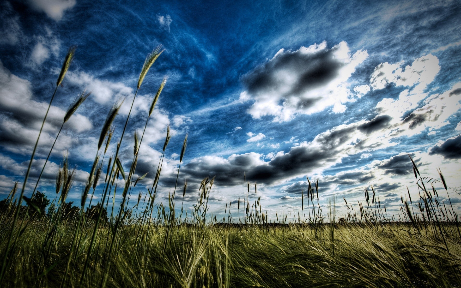 paisagens paisagem céu natureza grama campo sol nuvem pôr do sol fazenda luz ao ar livre tempo bom tempo ambiente horizonte verão