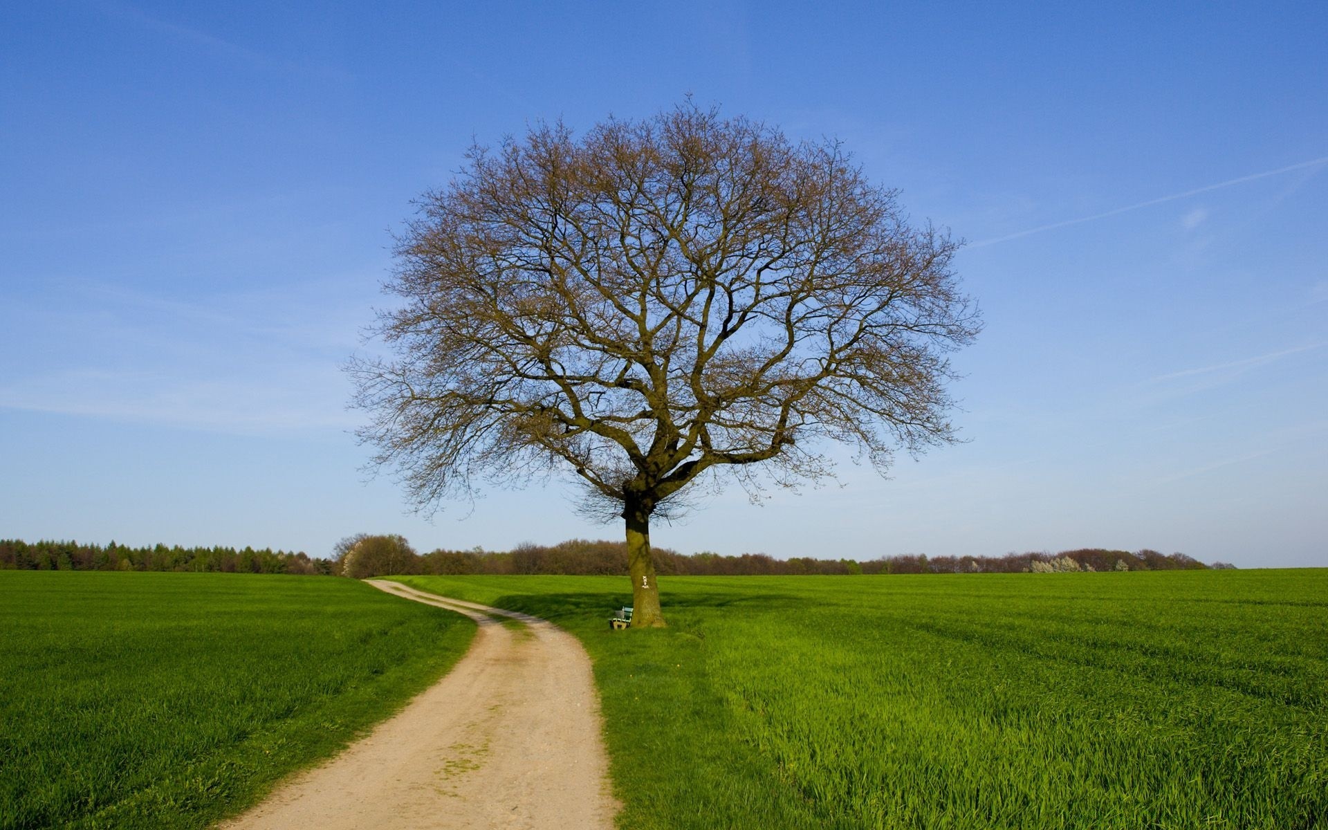 landscapes landscape grass rural tree countryside nature field hayfield sky outdoors country summer agriculture alone horizon