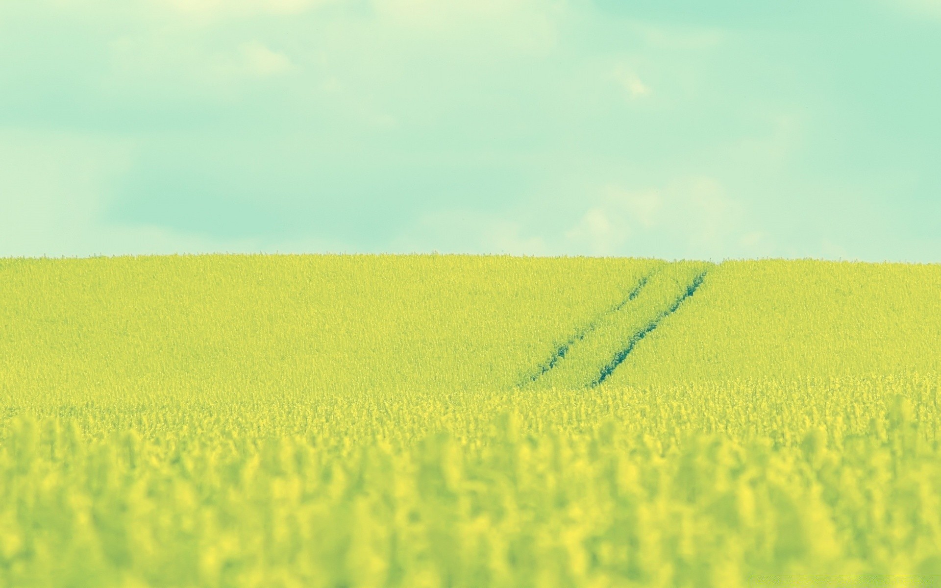 landschaft landwirtschaft feld bauernhof landschaft ernte wachstum landschaft ländlichen raum natur boden ackerland umwelt im freien gutes wetter weide bebautes land sommer flora