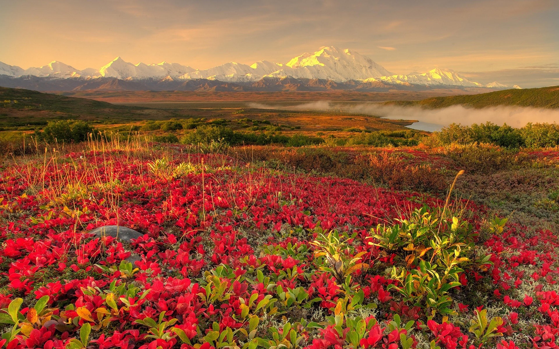 paisagens natureza paisagem flor campo ao ar livre flora verão folha rural montanhas bom tempo temporada céu cênica feno amanhecer árvore