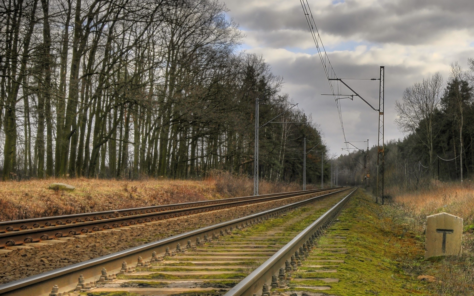 landschaft eisenbahn zug track transportsystem führung straße linie holz im freien reisen tageslicht licht perspektive landschaft industrie holz