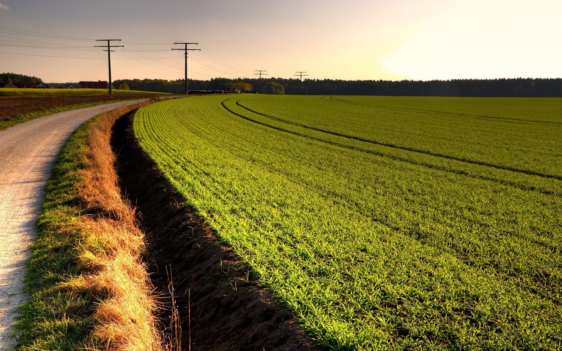 landscapes agriculture field farm landscape rural cropland country countryside soil hayfield crop nature pasture outdoors growth grass farmland summer sky