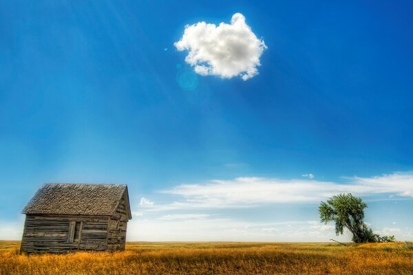 Pezage casa solitaria, albero e nuvola nel campo