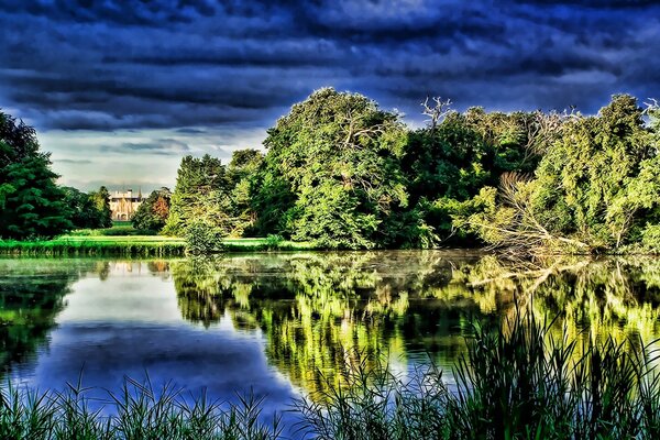 Árboles verdes densos en el reflejo del lago