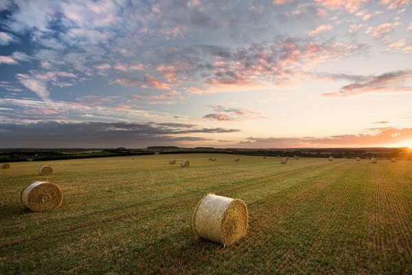 If you look at agriculture from a different angle