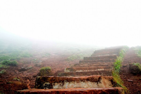 Escalier de pierre Monte dans le brouillard