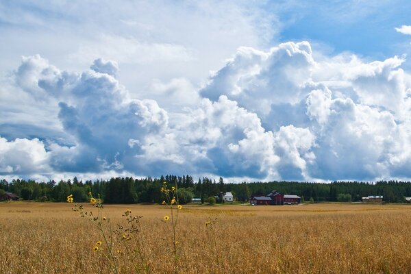 Blauer Himmel über einem landwirtschaftlichen Feld