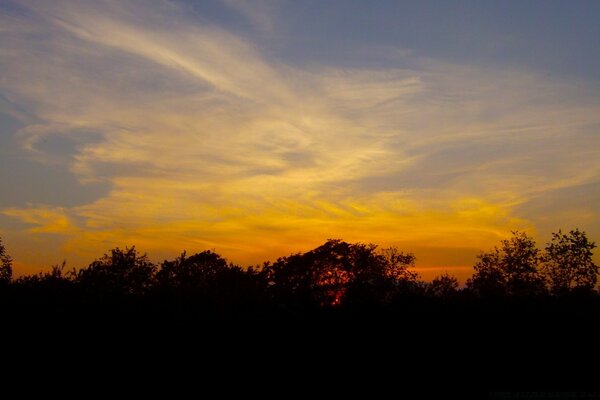 Paisagem do pôr do sol da noite contra o fundo da floresta