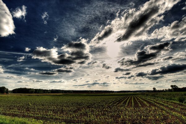 There is also a lot of romance in agriculture