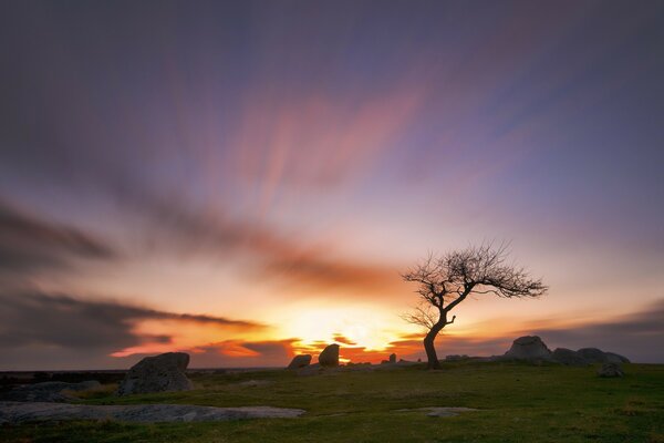 Sonnenuntergang auf dem Hintergrund von Steinen und Holz