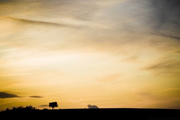 Ocaso. El cielo sobre la pradera