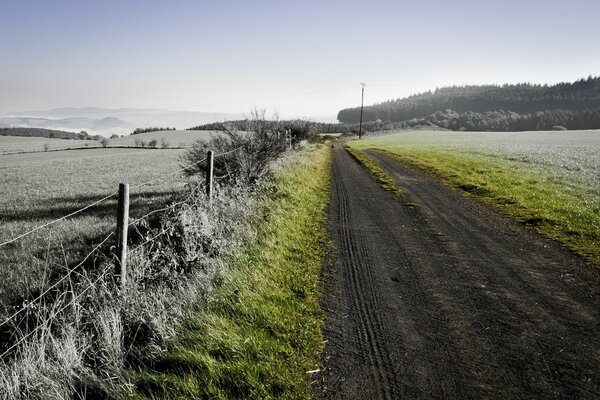 Field, Russian field. Nostalgia