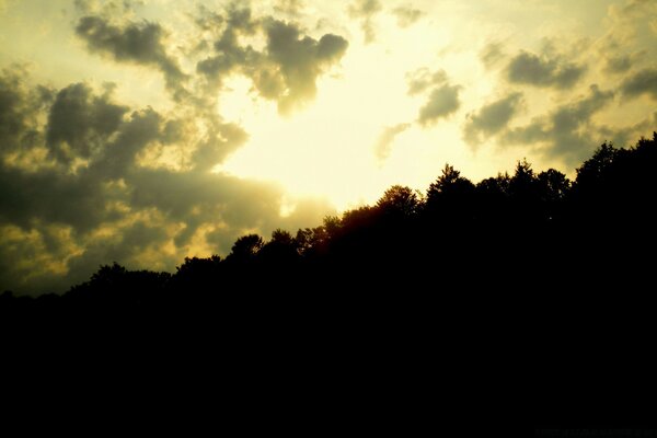 Sonnenuntergang Himmel auf Wald Hintergrund