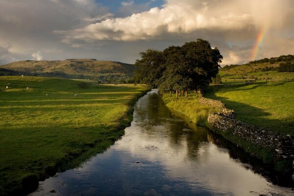 Paesaggio con acqua campo alberi e montagne