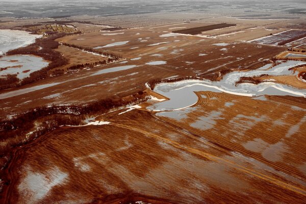 Bird s-eye view of the fields in spring