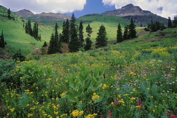 Strength in the mountains. Mountain nature