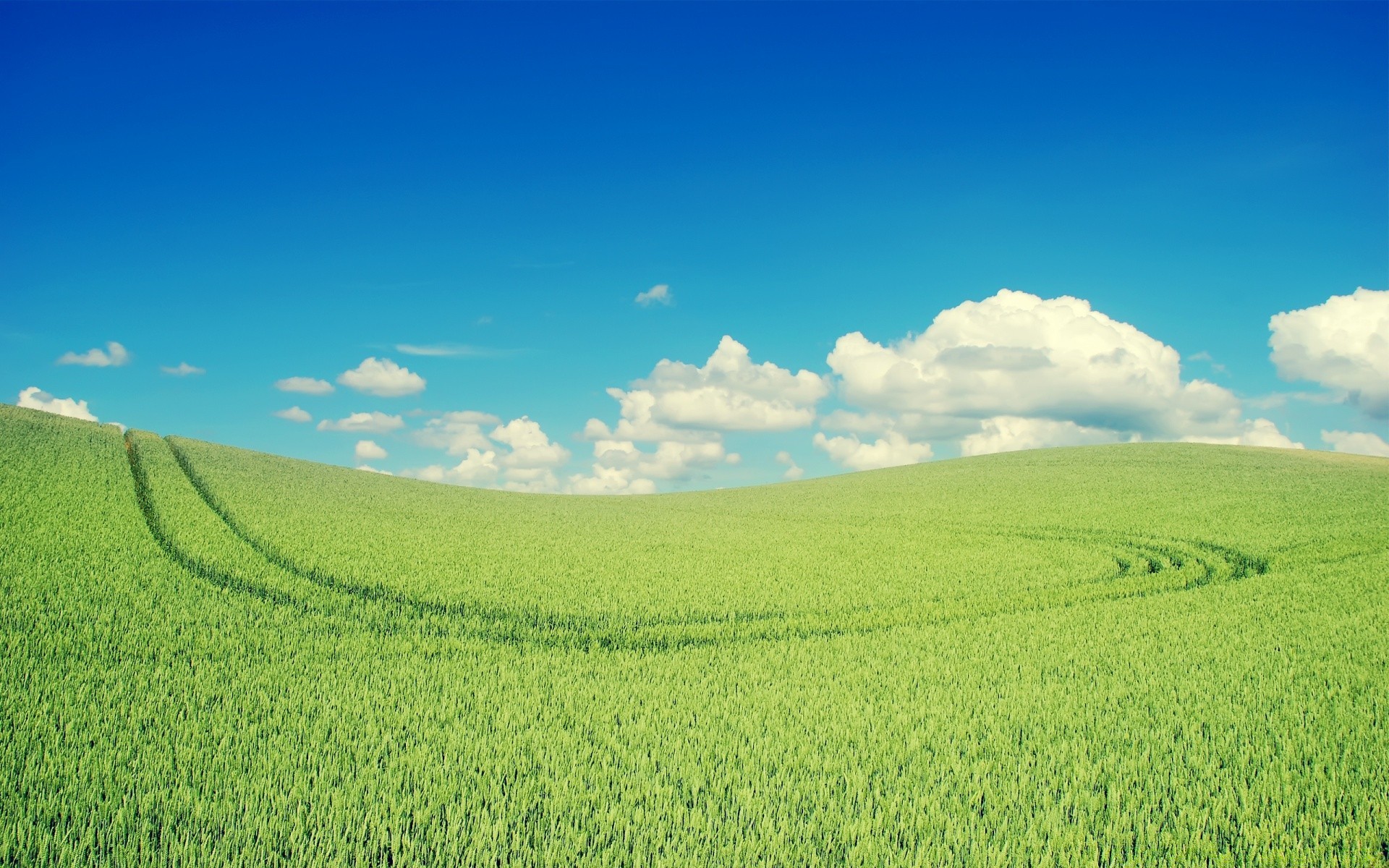 landschaft des ländlichen weide feld landschaft landwirtschaft natur landschaft wachstum gutes wetter bauernhof gras sommer sonne ackerland boden himmel im freien bebautes land