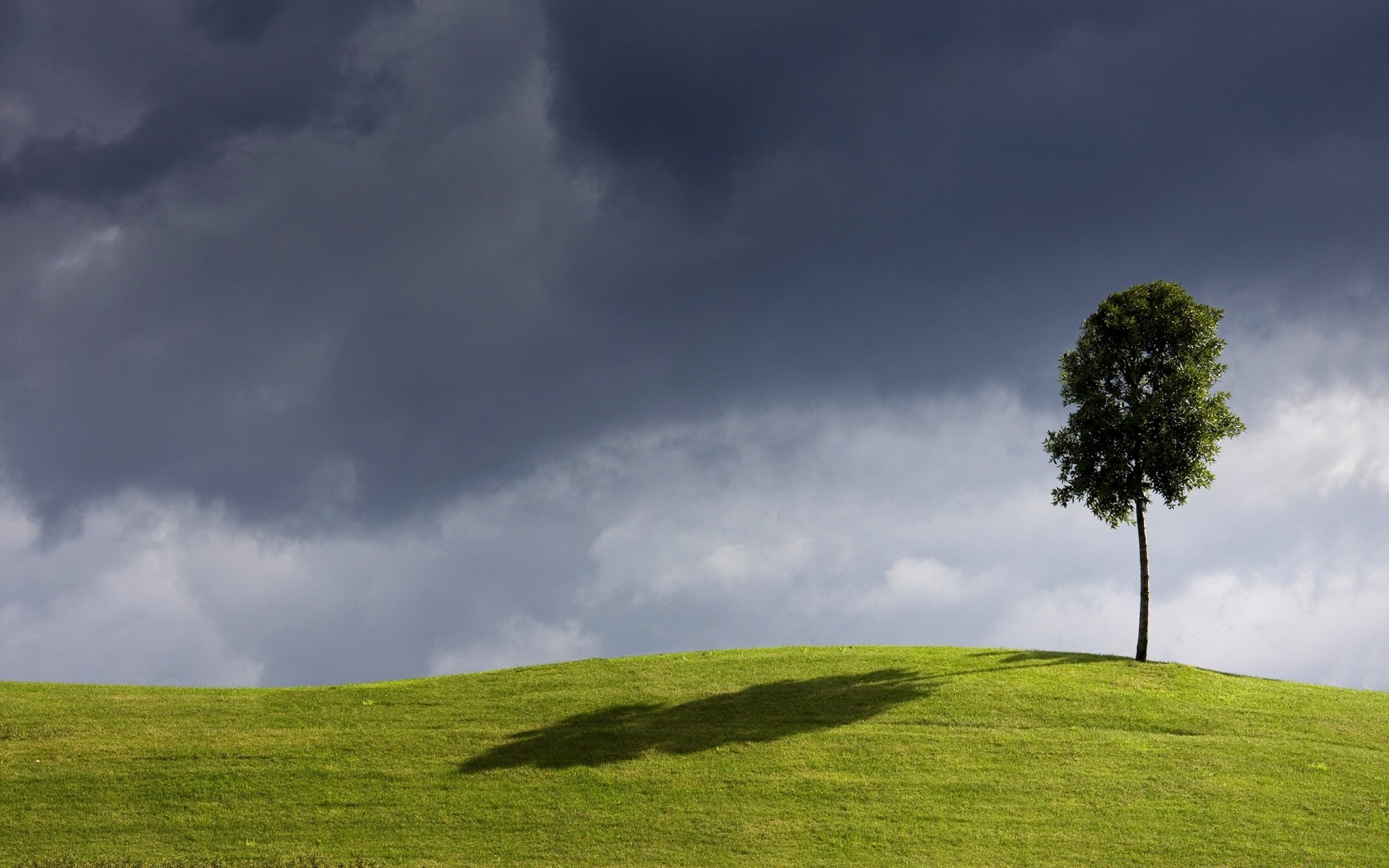 landscapes landscape grass nature sky outdoors countryside grassland rural tree pasture field summer fair weather weather idyllic sun