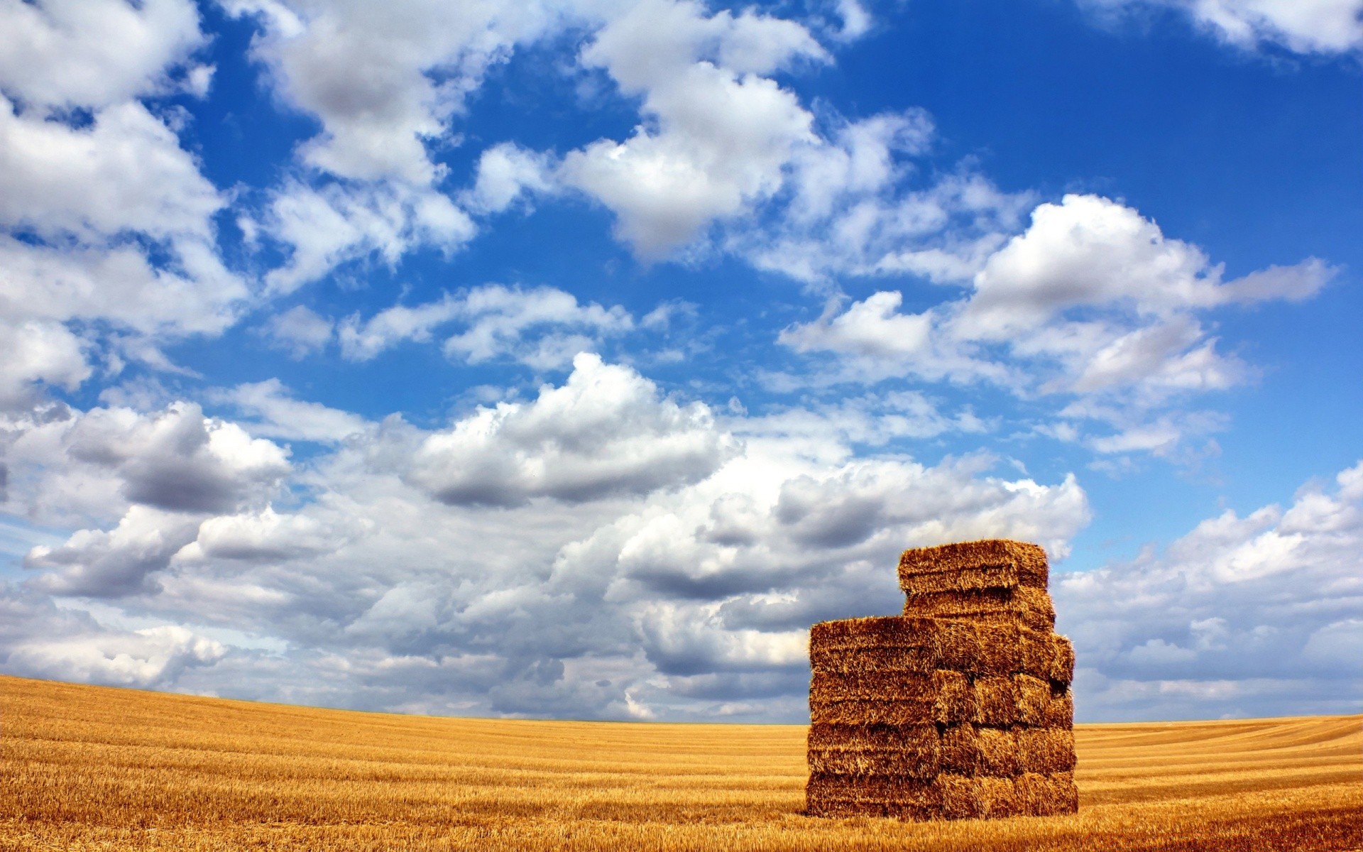 landscapes sky landscape outdoors nature travel sunset cloud wheat dry daylight