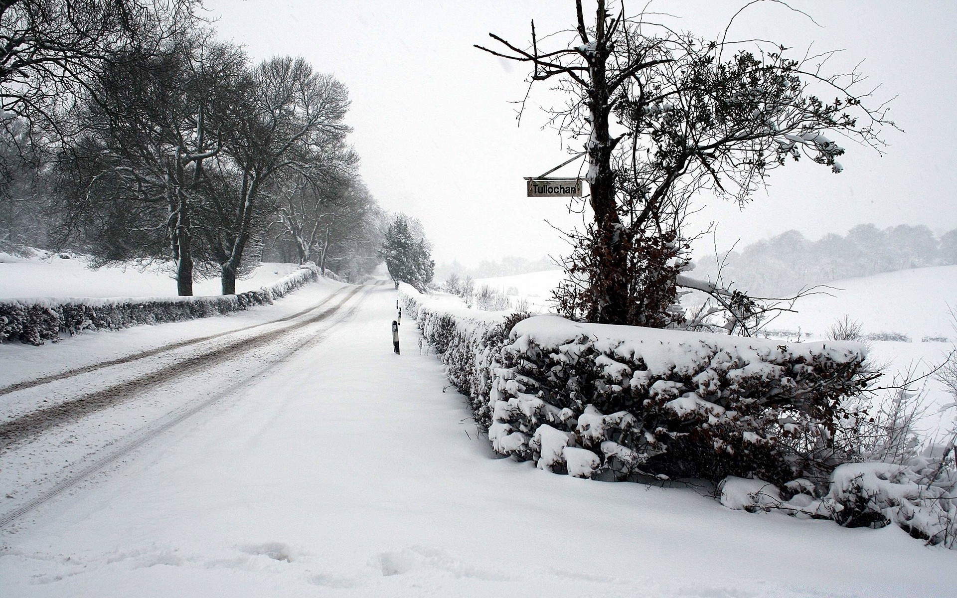 paesaggio inverno neve freddo gelo congelato meteo albero tempesta di neve ghiaccio paesaggio stagione legno strada nebbia nevoso neve-bianco ramo manuale gelido scenico