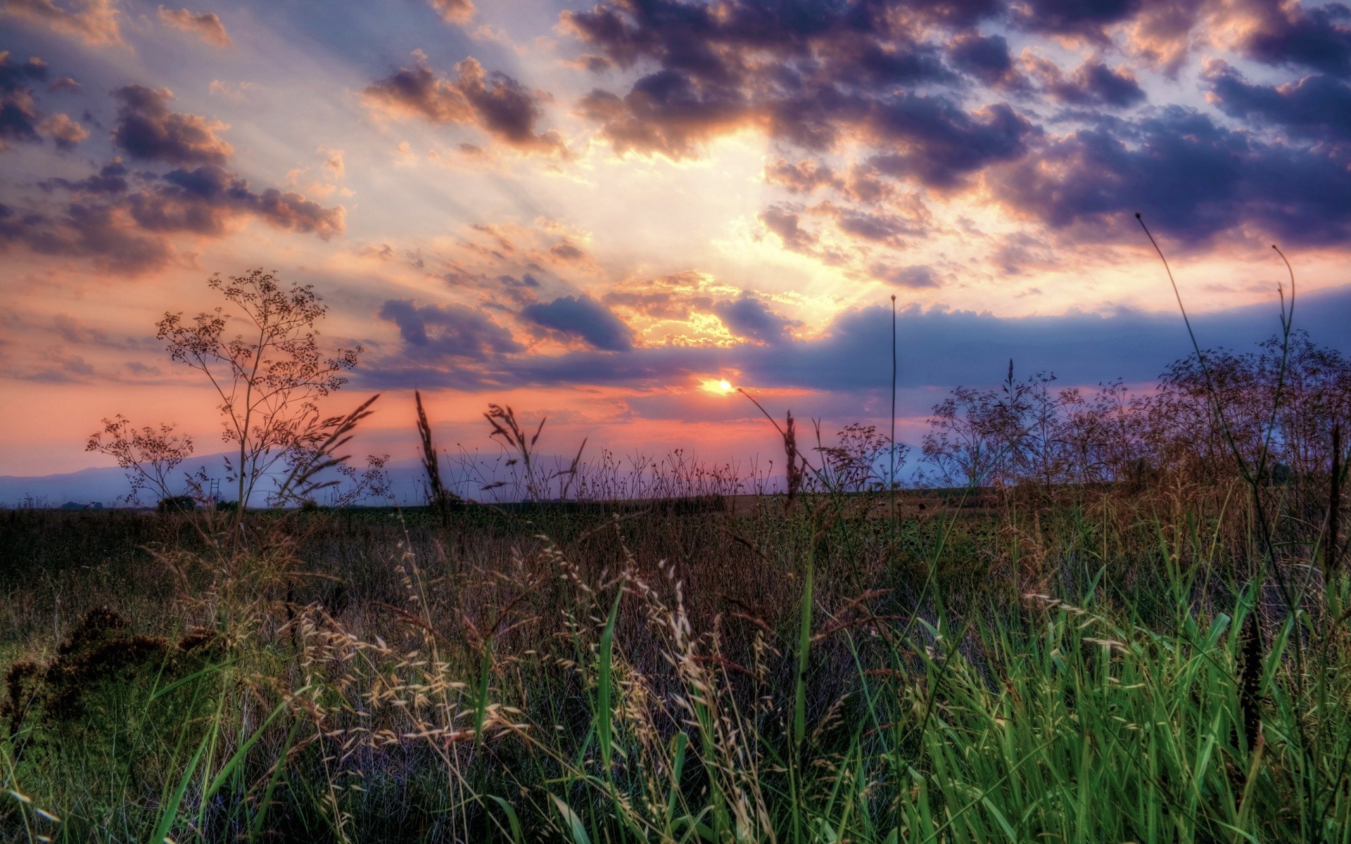 landscapes landscape sky sunset nature field grass dawn cloud sun dusk light evening environment tree horizon rural color hayfield