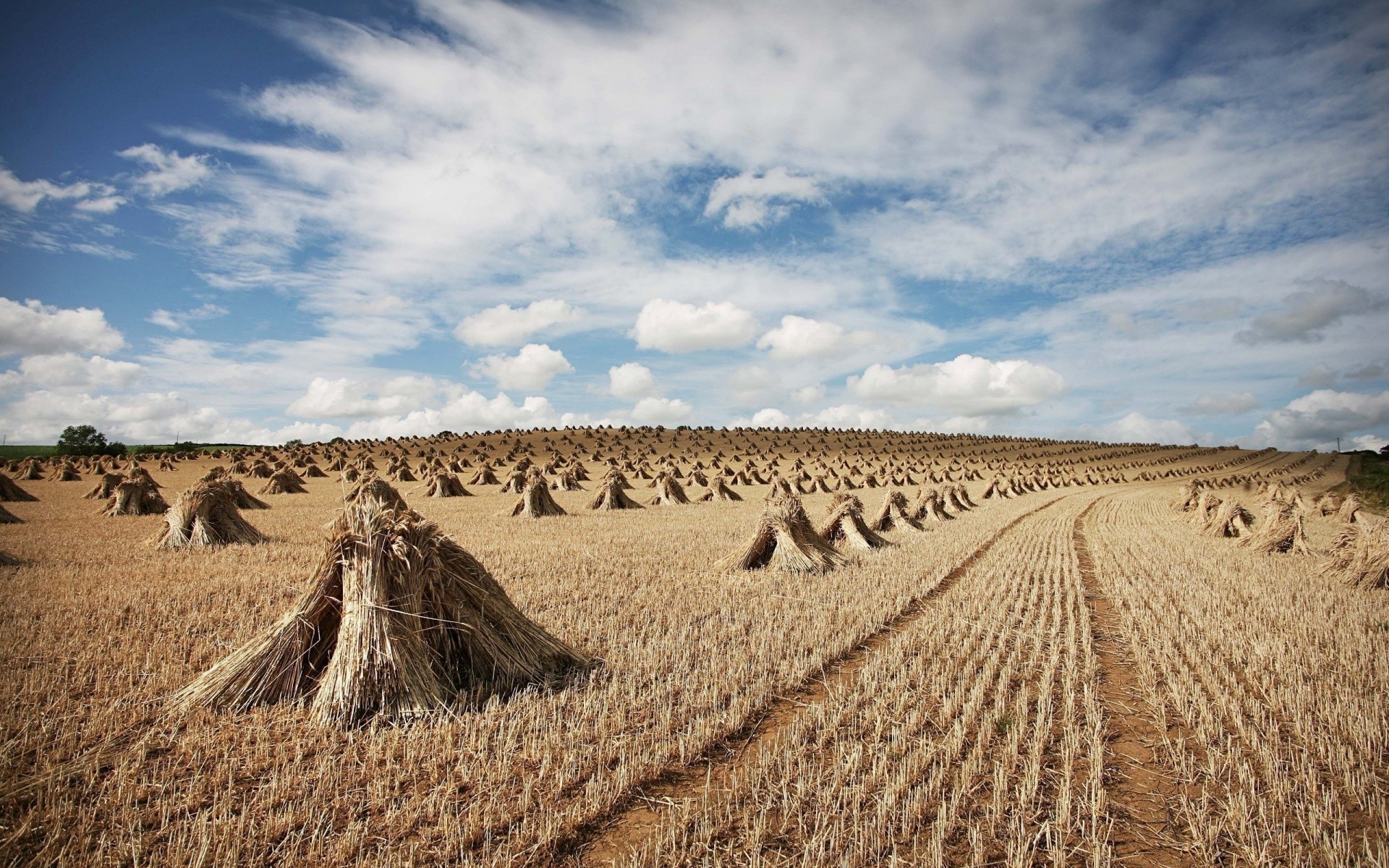 paisagens paisagem seca agricultura céu natureza solo campo deserto ao ar livre fazenda país viajar rural verão horizonte cênica areia colheita