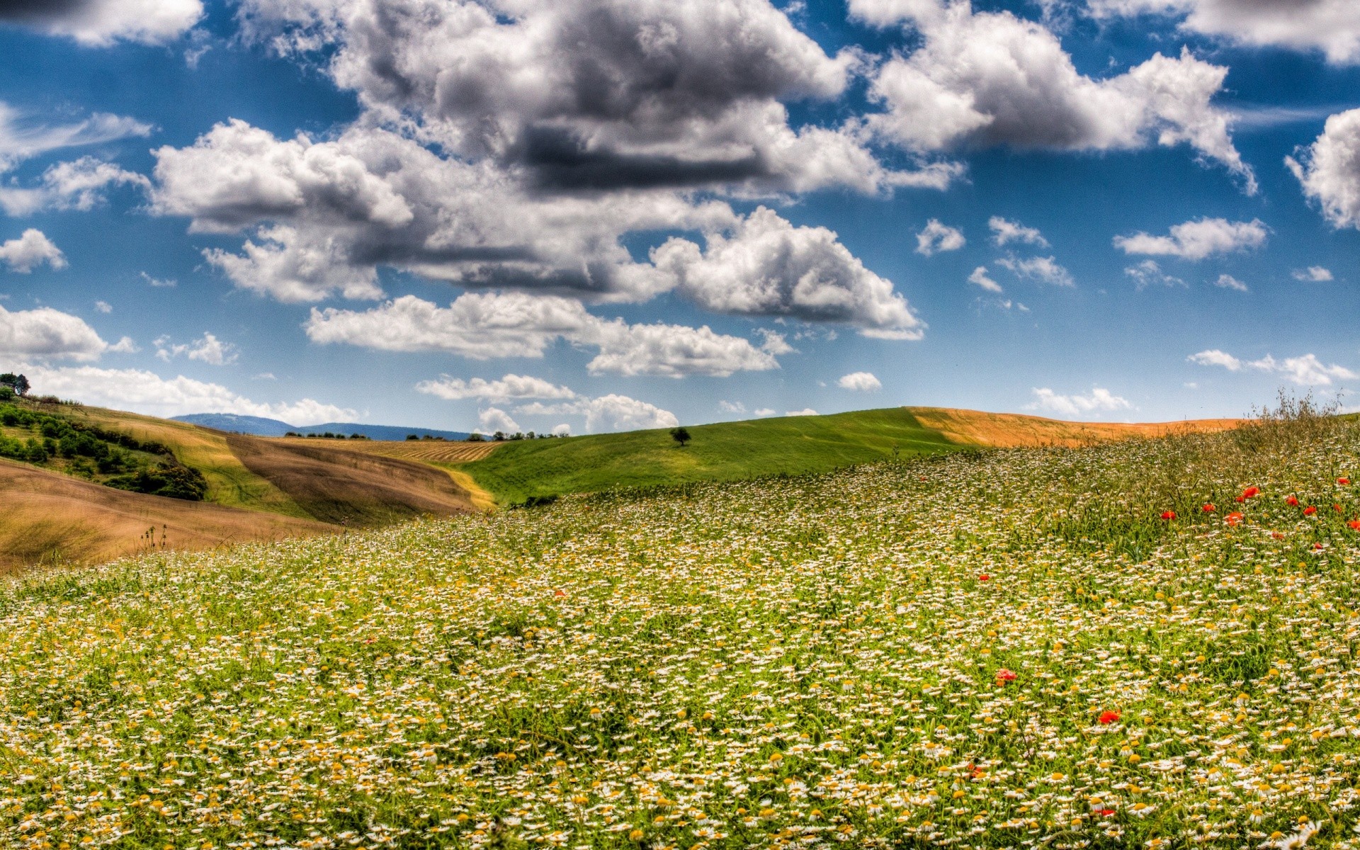 paisagens paisagem céu natureza ao ar livre campo verão grama rural viajando nuvem feno campo colina árvore agricultura fazenda cênica