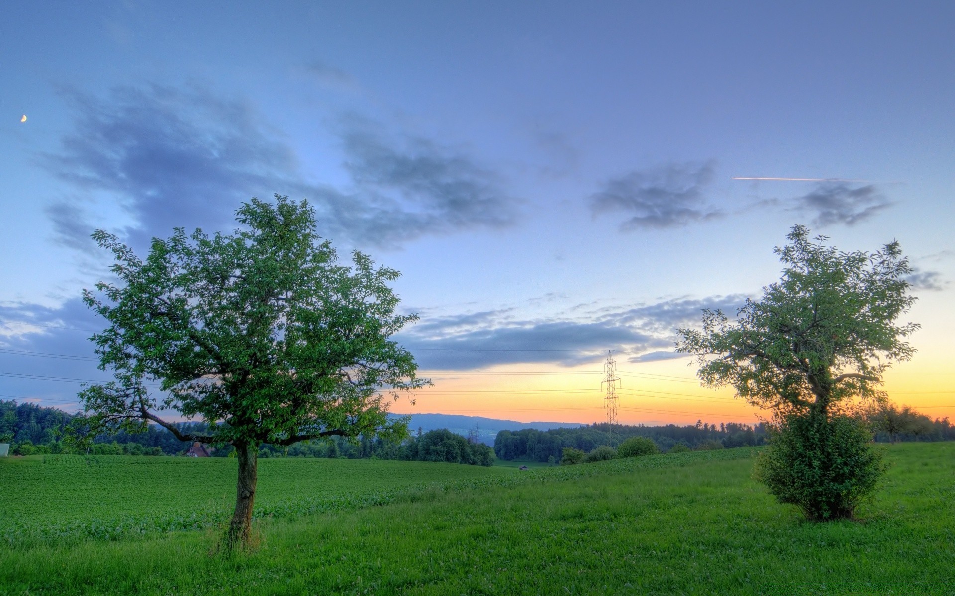 landscapes landscape tree nature grass sky countryside rural outdoors hayfield summer dawn wood scenic sun idyllic fair weather field daylight bright