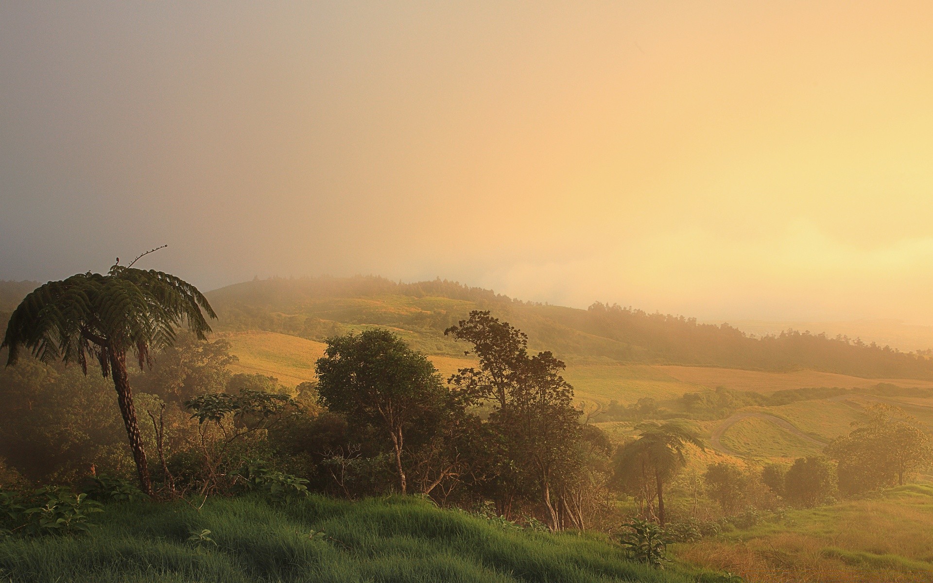 landschaft nebel sonnenuntergang dämmerung landschaft baum nebel natur himmel reisen sonne im freien abend dämmerung hintergrundbeleuchtung licht gras berge