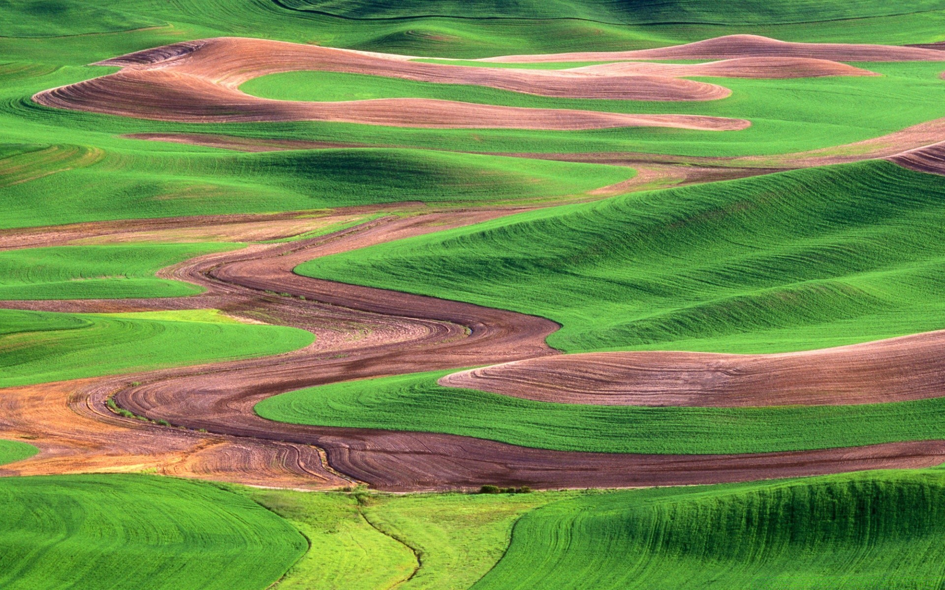 landschaft landwirtschaft bebautes land landschaft gras feld natur im freien ackerland des ländlichen sommer bauernhof landschaft weide boden wachstum ernte erde himmel pastorale