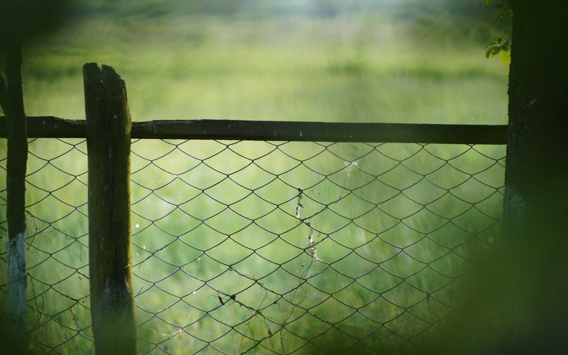 paesaggio recinzione paesaggio all aperto filo spinato web luce ombra tennis