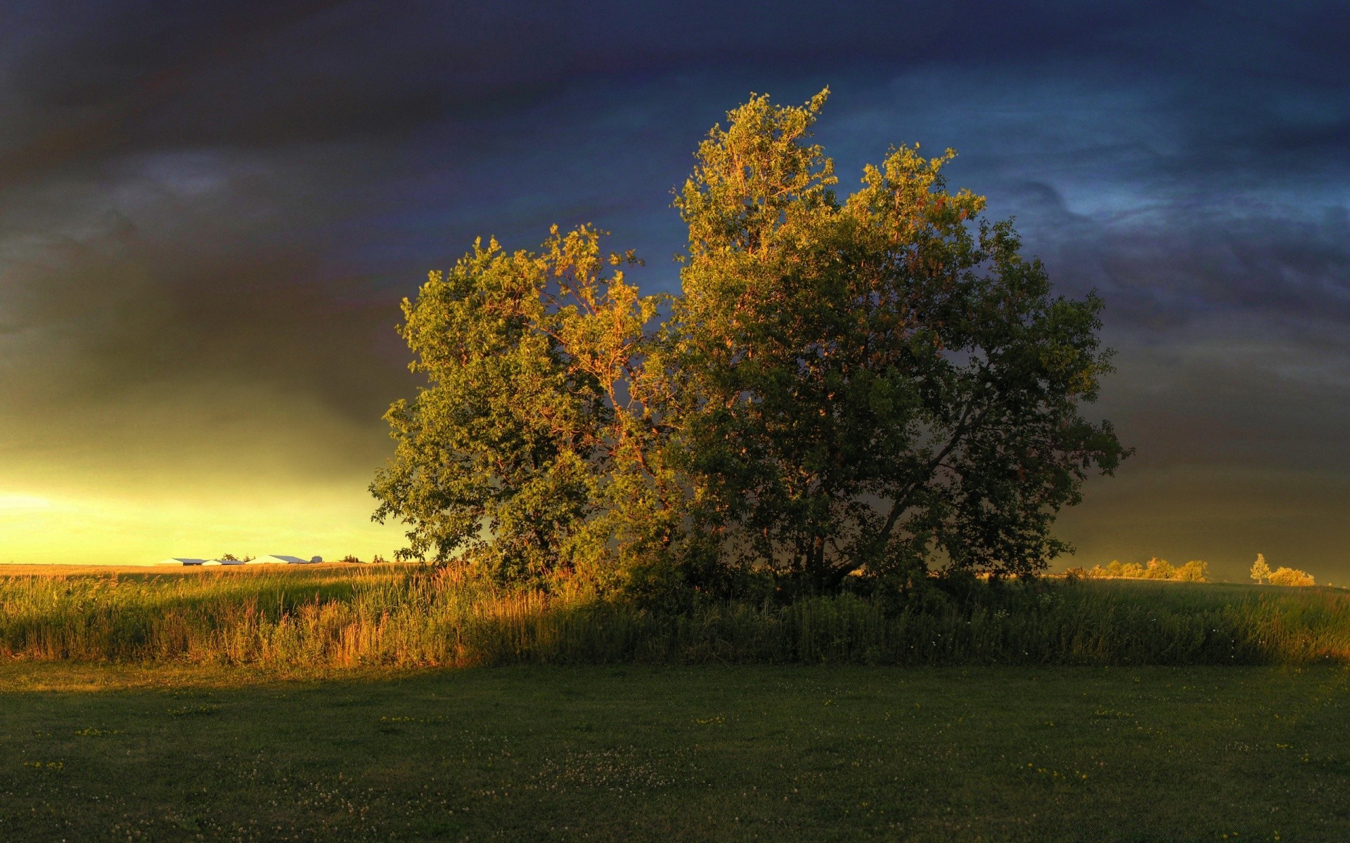 landscapes fall landscape tree nature dawn sunset outdoors countryside sun sky fair weather evening leaf grass wood rural light scenic