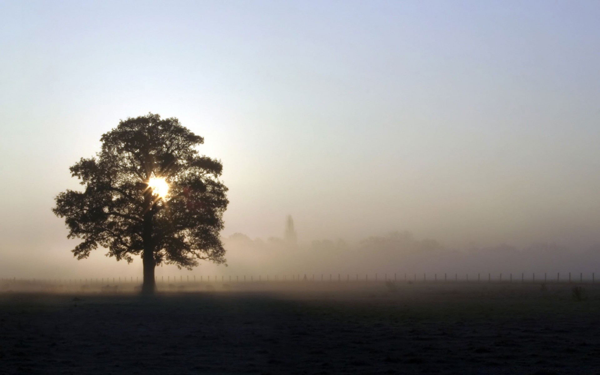 paesaggio nebbia paesaggio alba nebbia albero natura sole tramonto cielo all aperto luce silhouette sera meteo illuminato bel tempo estate