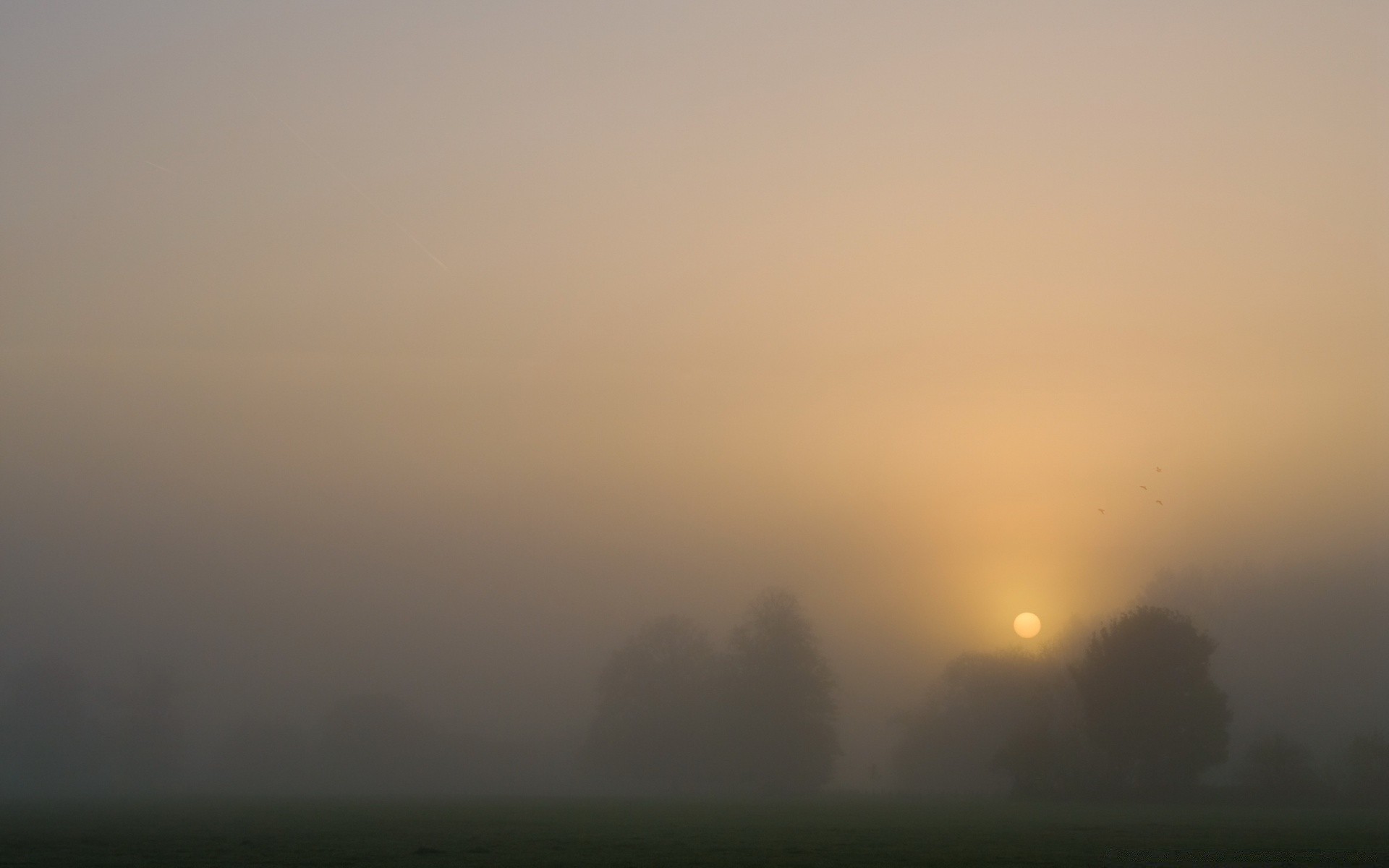 paysage brouillard paysage coucher de soleil soleil aube brouillard ciel lumière météo soir nature silhouette rétro-éclairé art crépuscule hiver lune