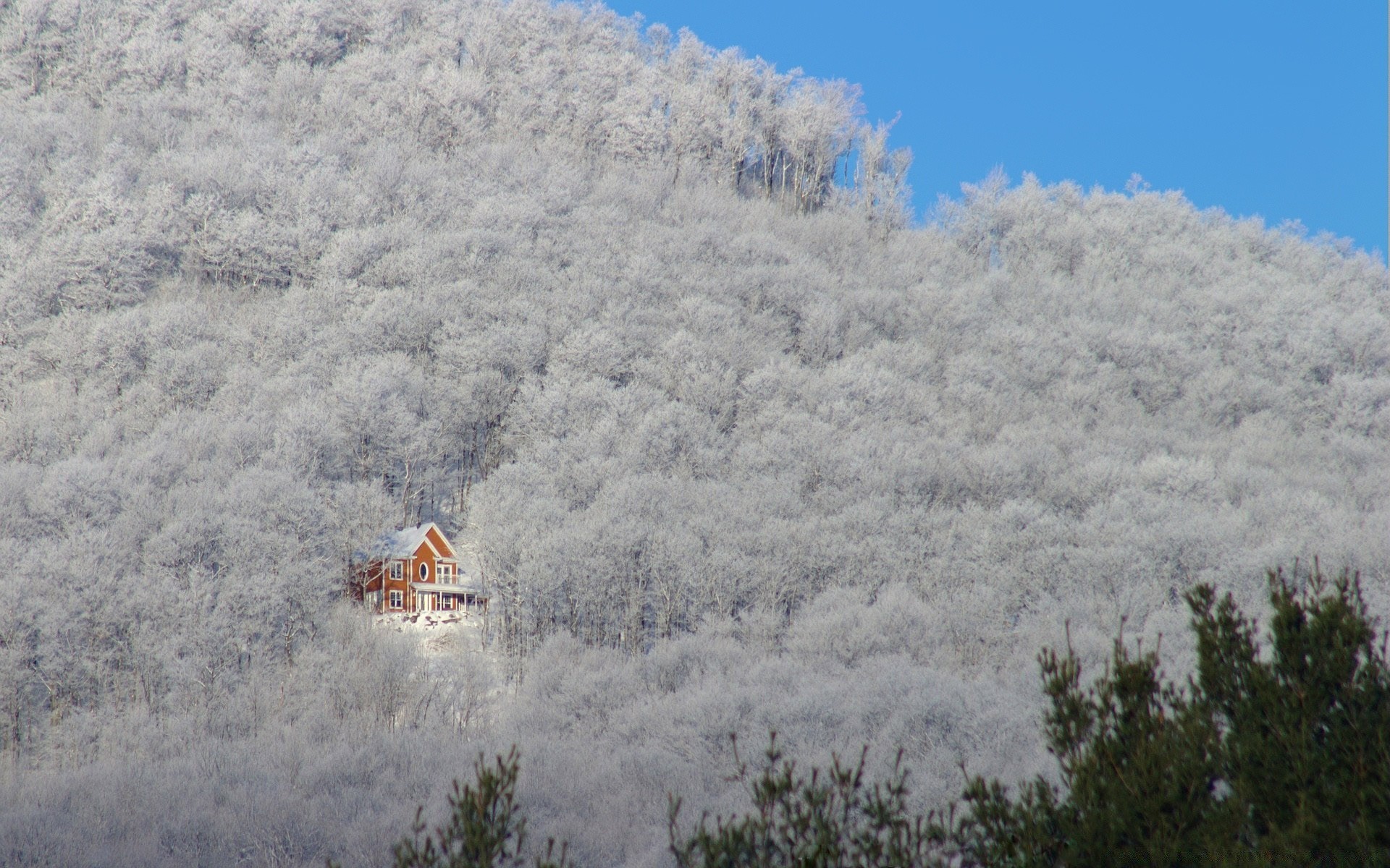 paesaggio neve cielo paesaggio luce del giorno albero inverno viaggi all aperto meteo natura montagna scenico