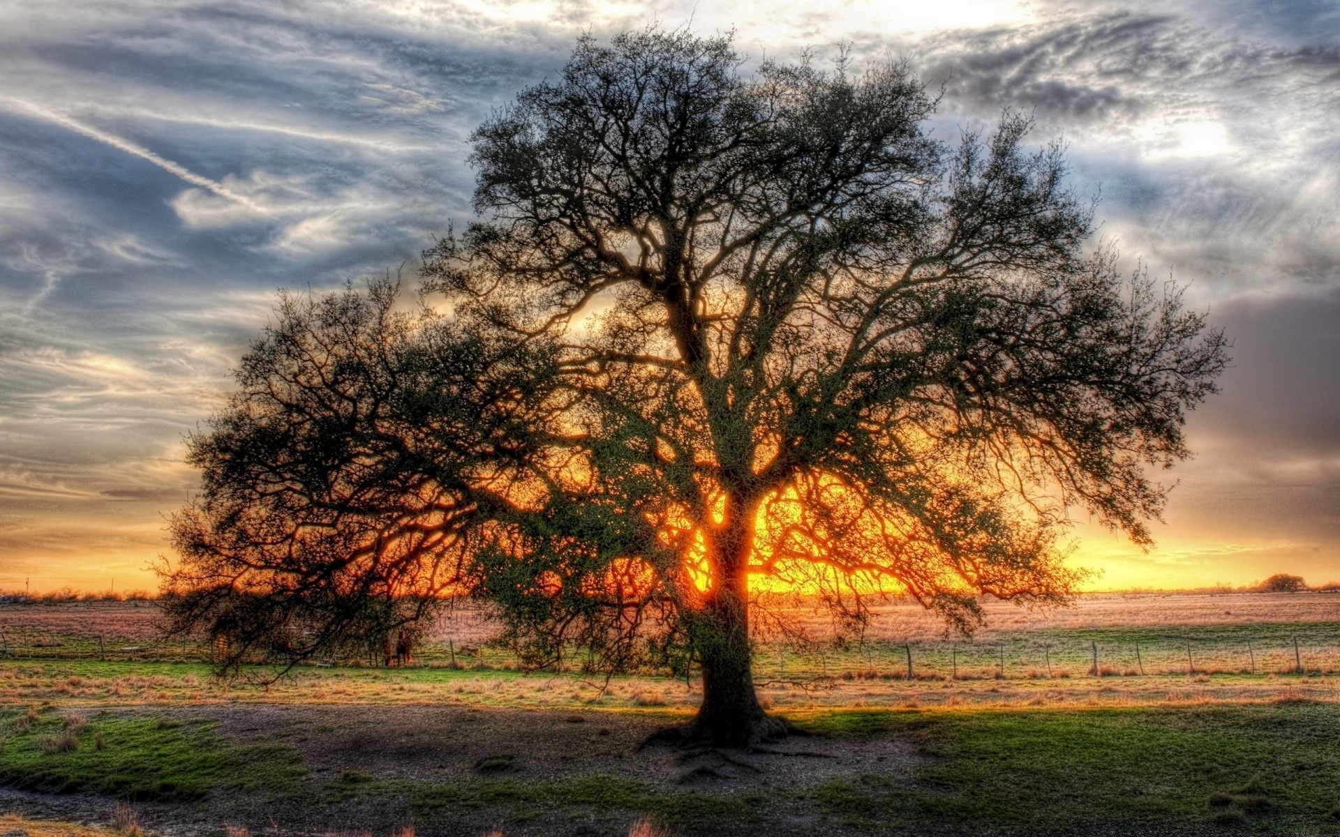 landscapes landscape dawn tree sunset nature sun fall sky fair weather rural countryside grass outdoors wood light evening