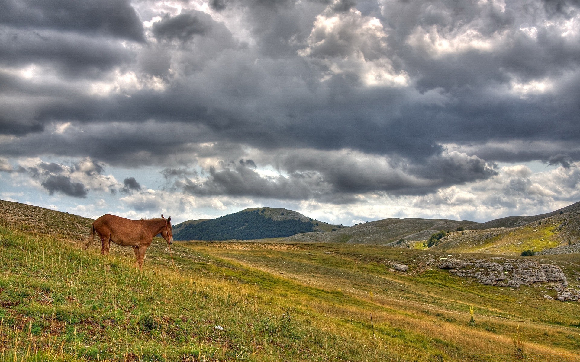 paysage à l extérieur paysage ciel voyage herbe nature montagnes campagne pâturage rural pâturage été agriculture colline scénique champ nuage ferme foin