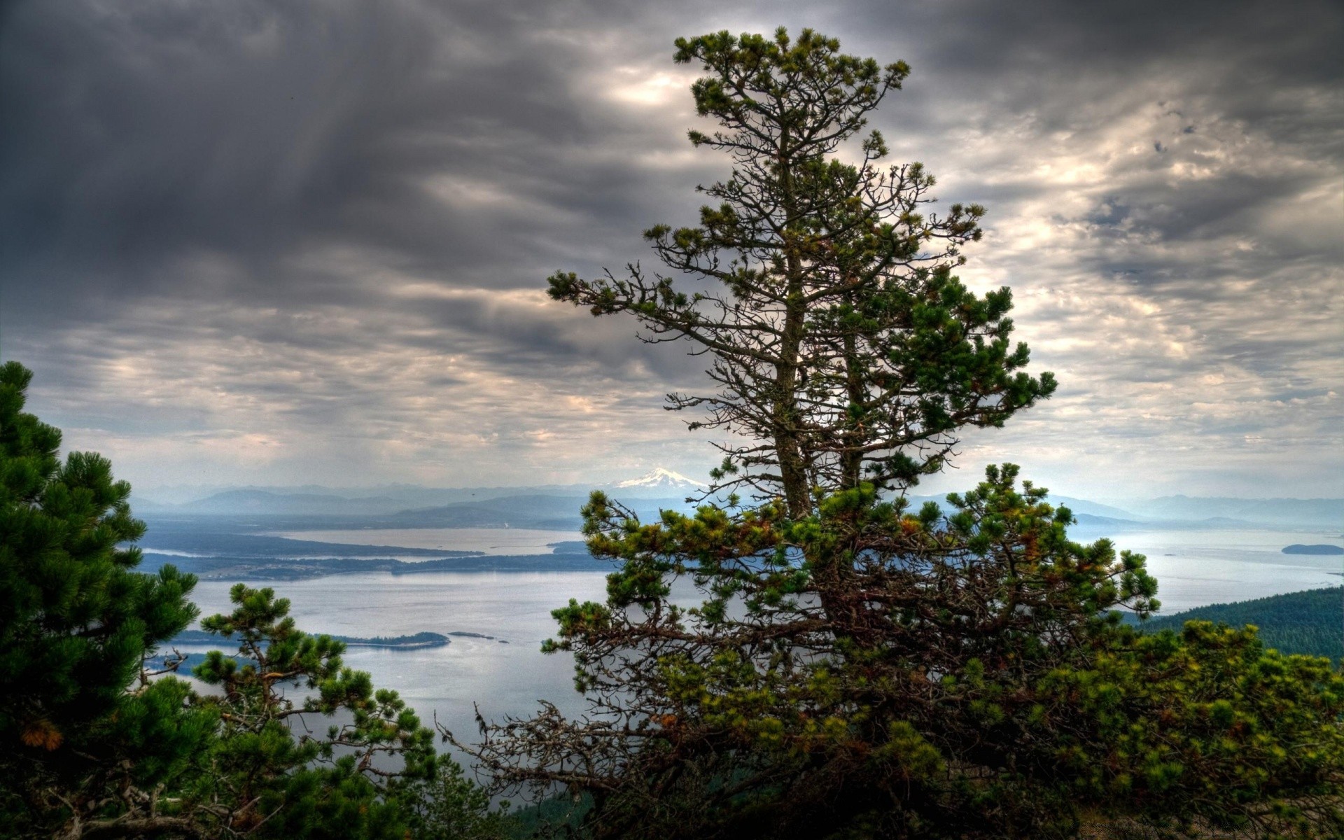 landscapes tree nature water landscape sky outdoors summer sun travel wood scenic dawn composure fair weather idyllic sunset lake