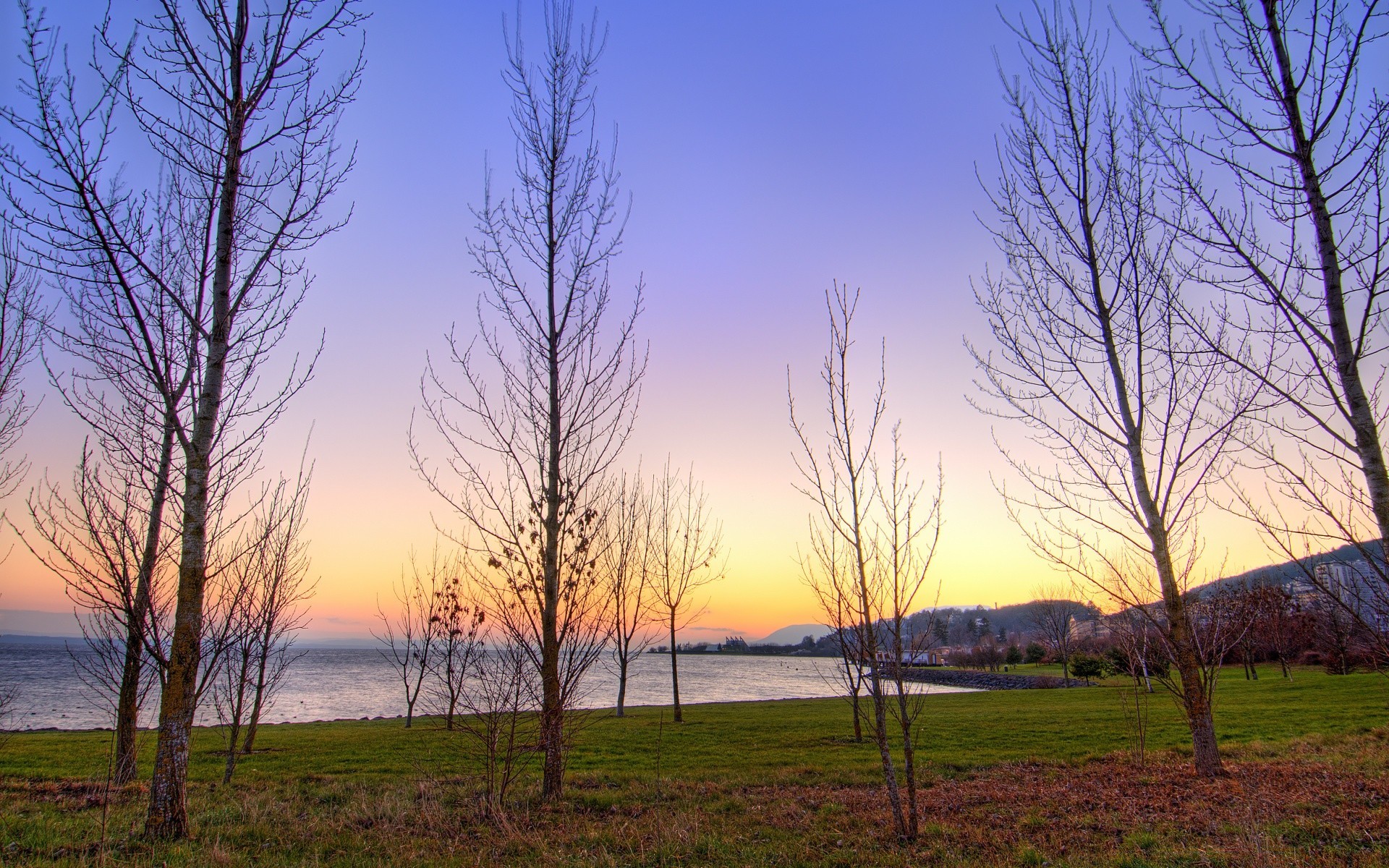 landscapes landscape tree nature dawn fall fog grass environment scenic season wood outdoors countryside fair weather rural sky sun weather light