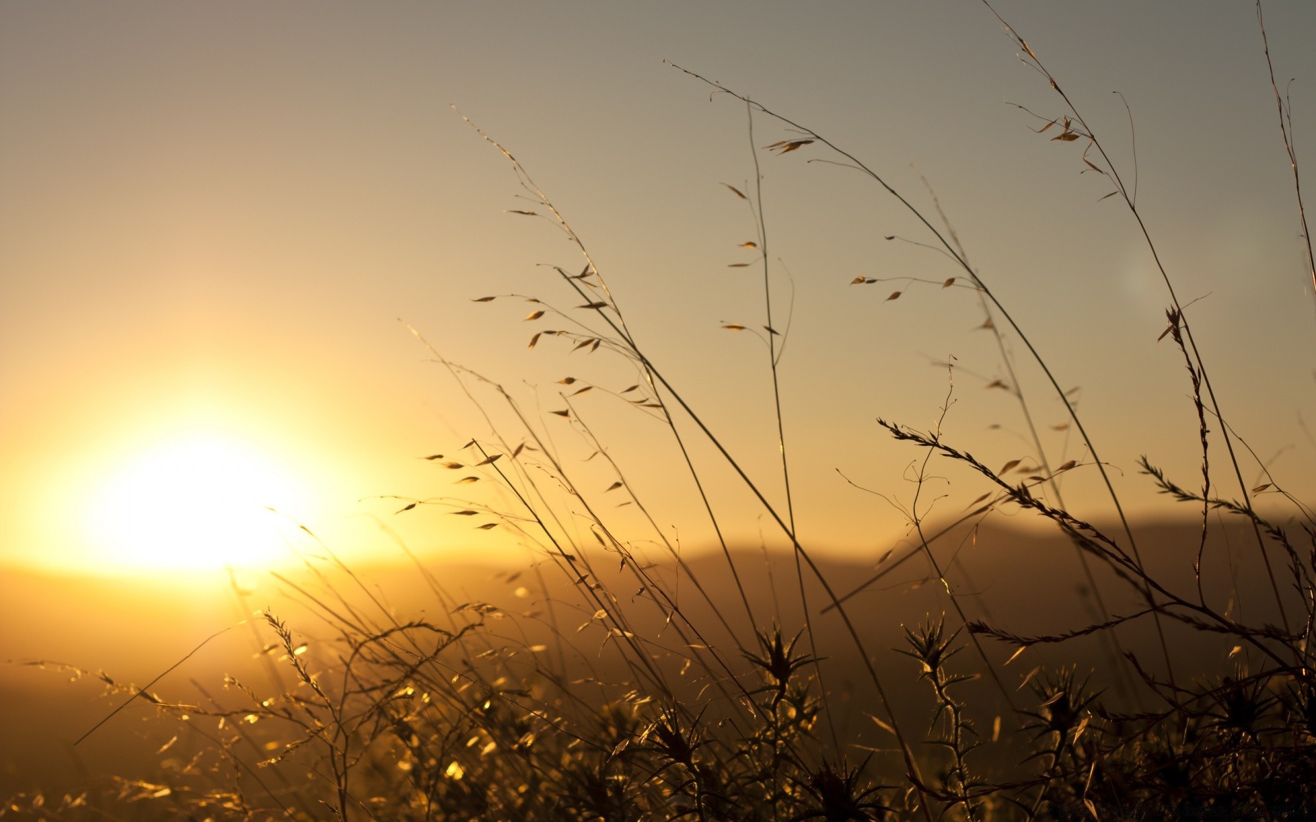 landschaft sonnenuntergang sonne landschaft dämmerung feld himmel natur strand licht sommer gold gras bauernhof gutes wetter silhouette nebel abend farbe hintergrundbeleuchtung meer