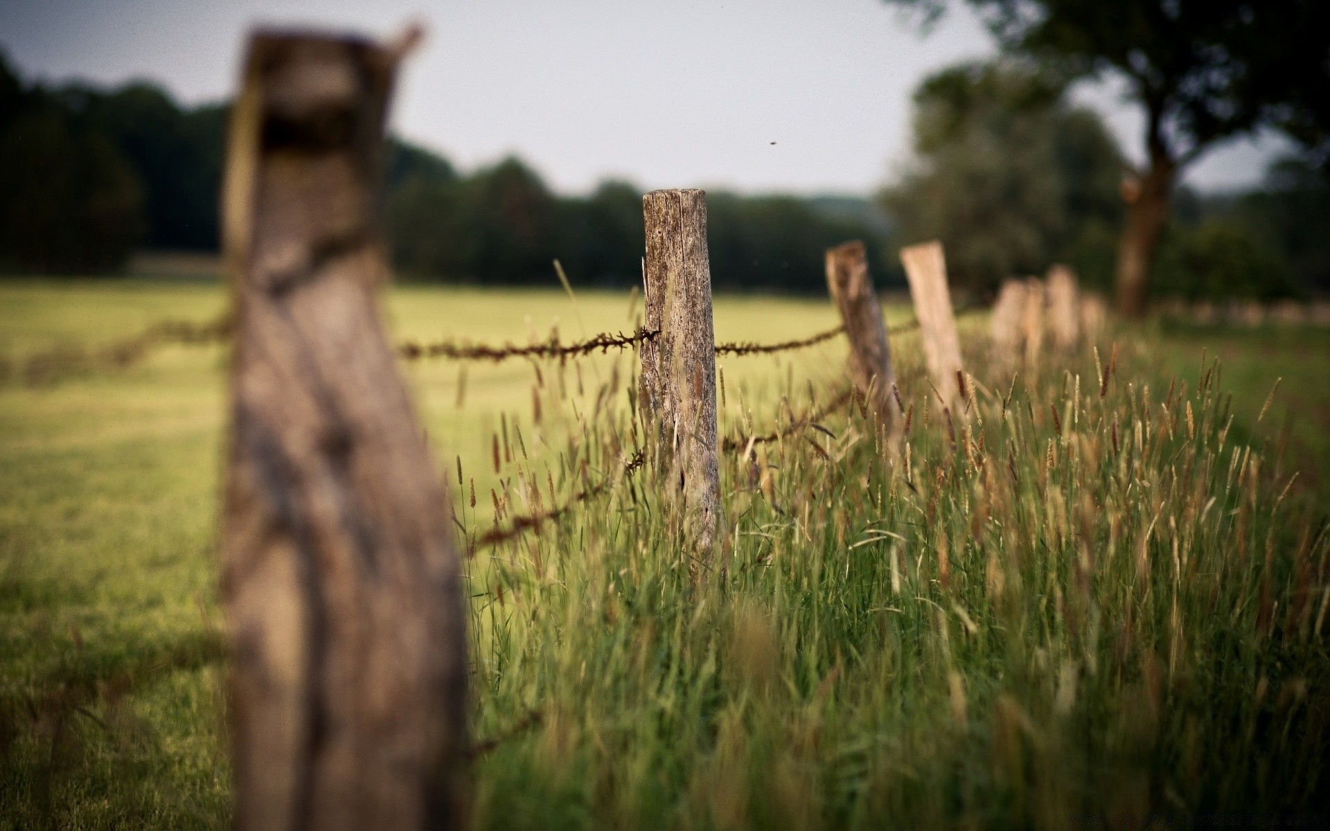 landscapes fence grass nature outdoors landscape field tree sunset wood sky cropland farm