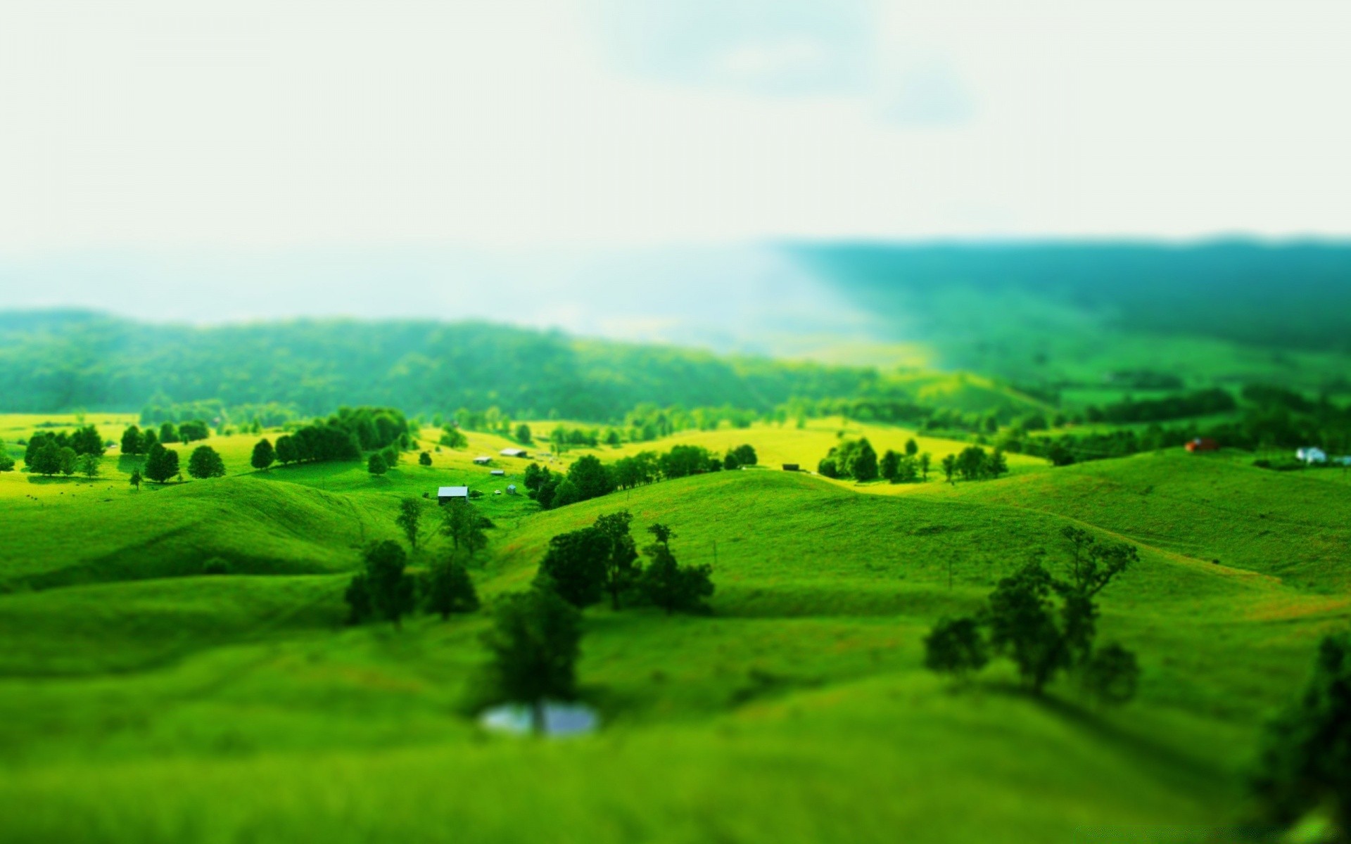 landscapes landscape field agriculture nature hill rural grass tree countryside farm summer hayfield country sight sky pasture growth scenic flora