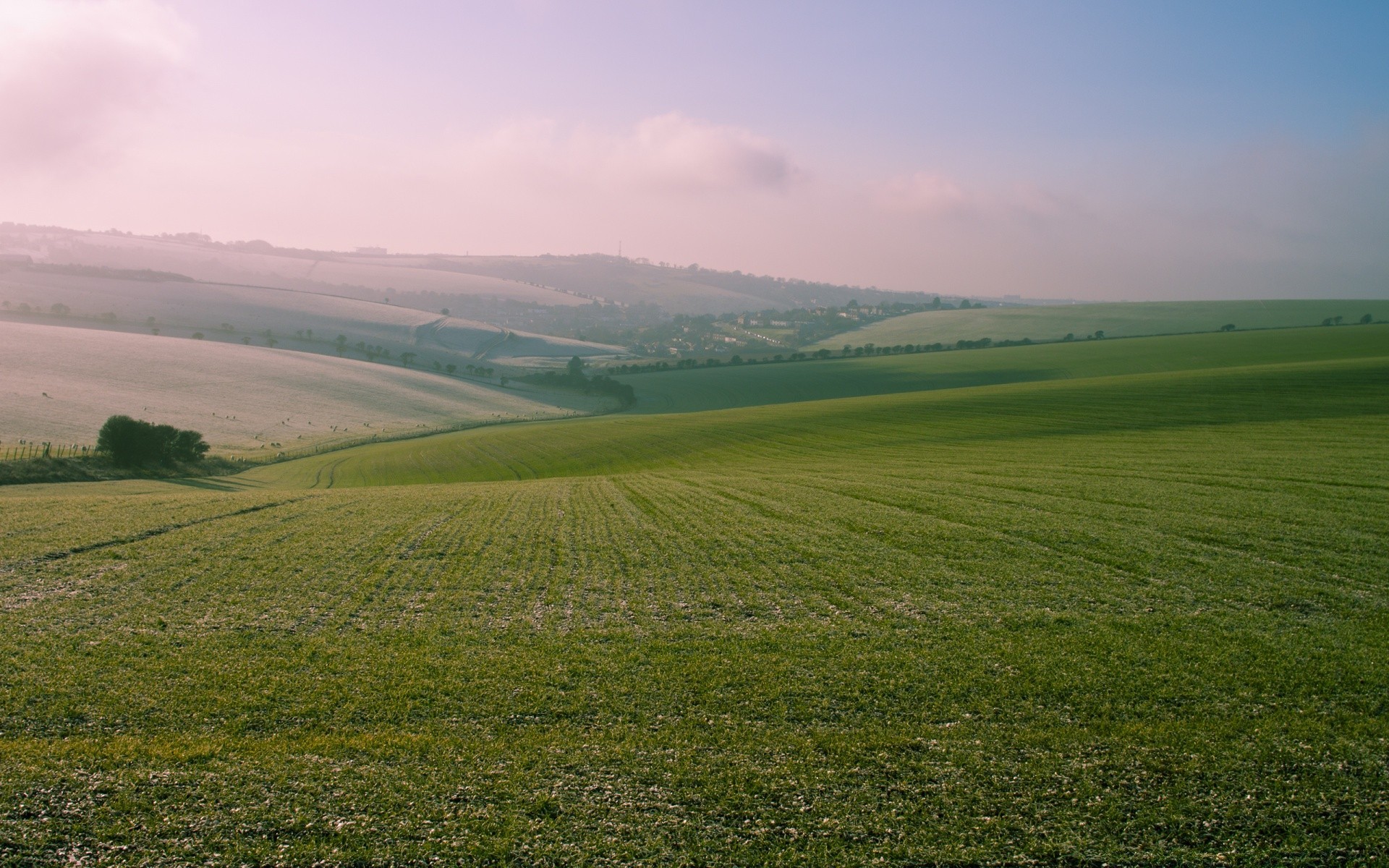 paisagens paisagem natureza grama campo agricultura céu campo verão rural terras cultivadas ao ar livre fazenda árvore colina pasto pastagem amanhecer nevoeiro feno