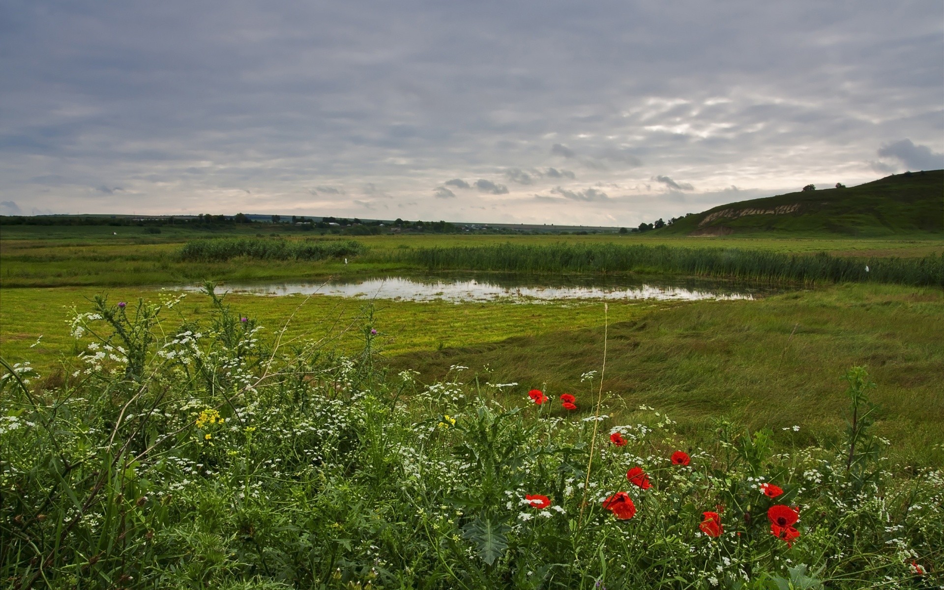 landscapes landscape hayfield field grass nature sky flower agriculture outdoors summer grassland countryside cloud rural cropland daylight farm scenic pasture