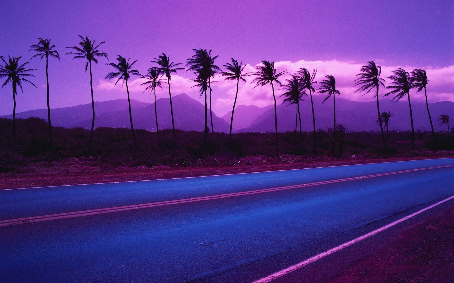 landscapes beach tropical palm sunset ocean tree seashore dusk travel coconut sand summer island evening water sun seascape sky resort