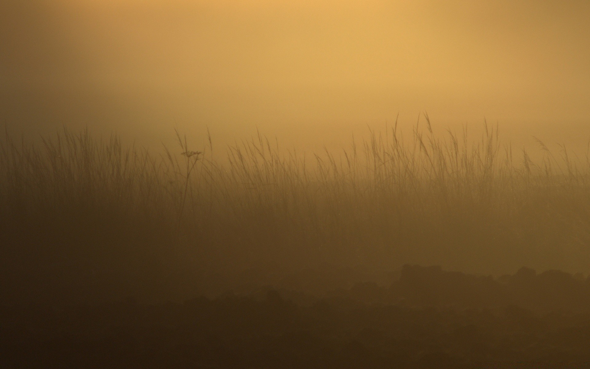 paysage coucher de soleil aube paysage rétro-éclairé silhouette brouillard soir soleil ciel lumière brouillard lac crépuscule champ nature ferme météo pâturages