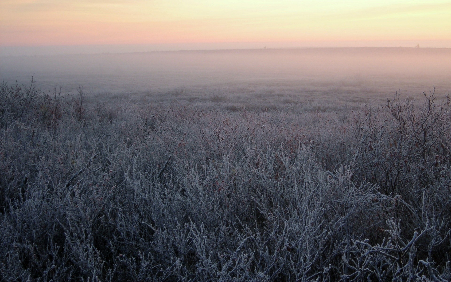 paysage paysage la nature météo arbre bureau saison aube hiver à l extérieur gel ciel environnement champ brouillard lumière beau temps froid scénique automne