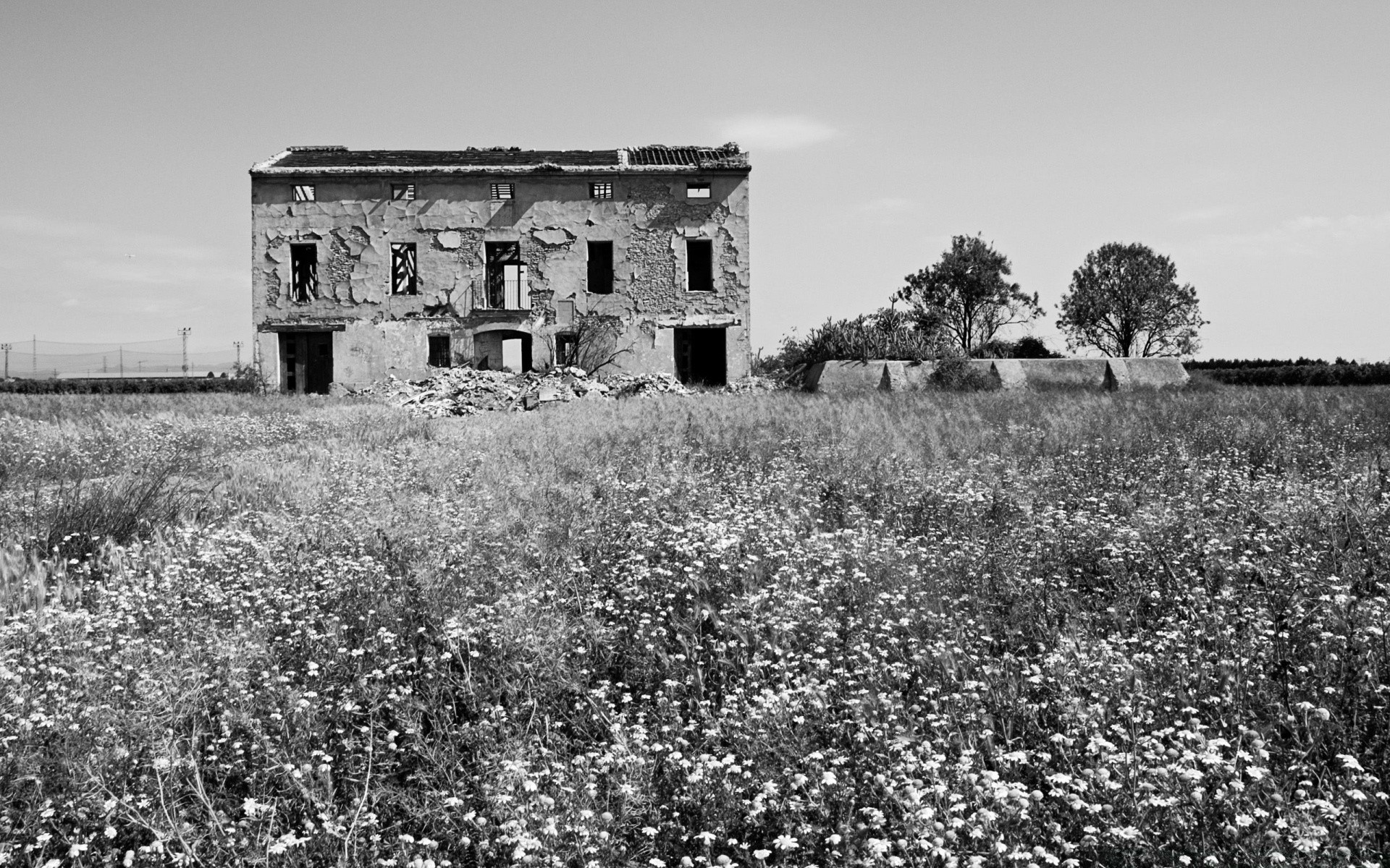 landscapes abandoned landscape outdoors farm agriculture farmhouse building old house field grass cropland architecture