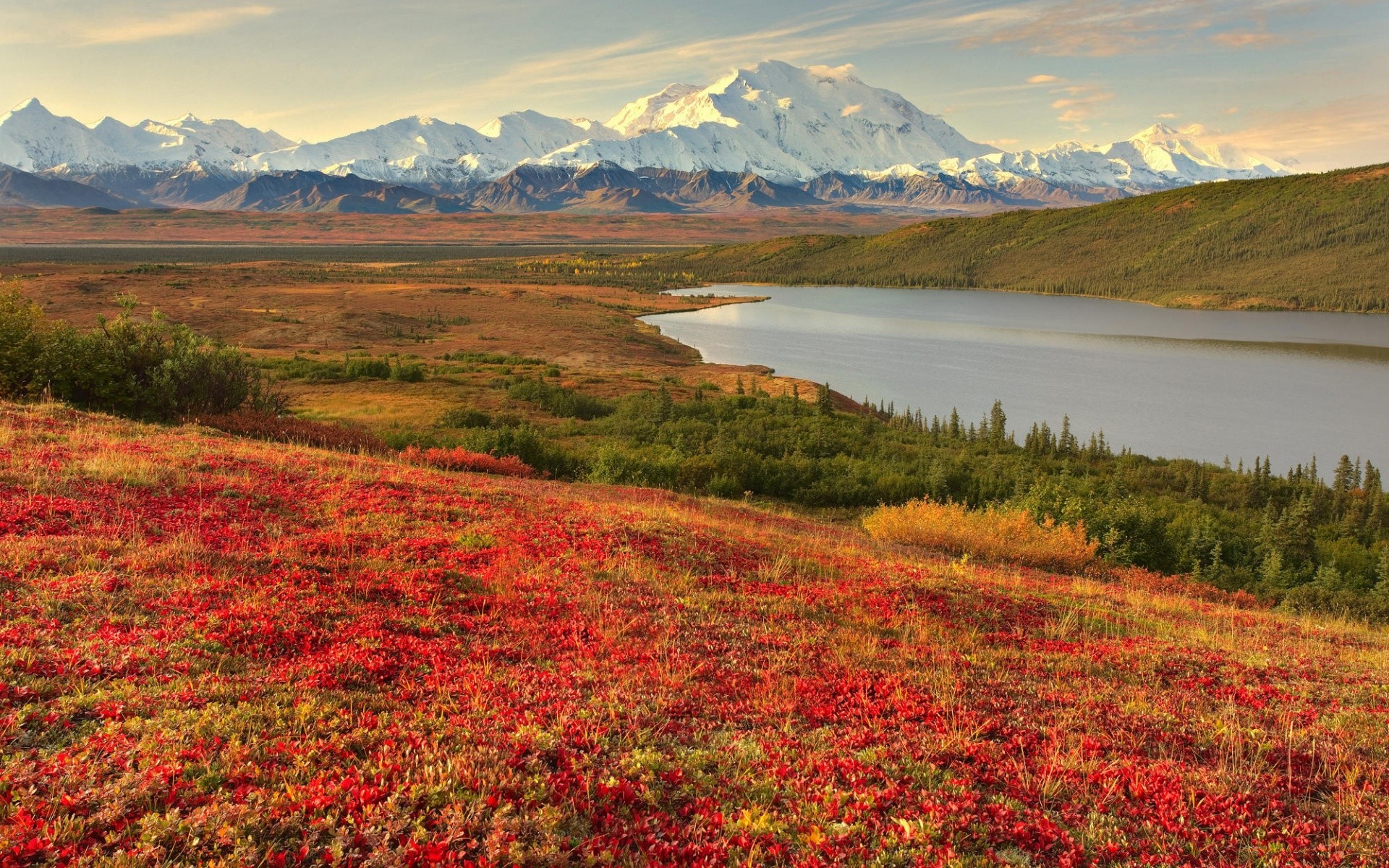 paesaggio paesaggio natura montagna all aperto viaggi lago scenico cielo autunno acqua pascolo erba fiore tundra fieno